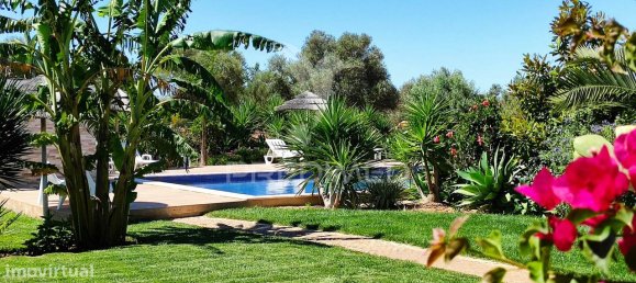 8 bedrooms House in Silves, Portugal No. 129776 6