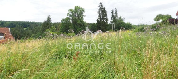 Земельный участок 1904м² в Восточный Альб, Германия № 63199 10