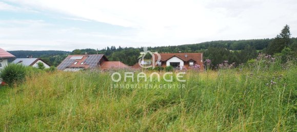 Земельный участок 1904м² в Восточный Альб, Германия № 63199 13