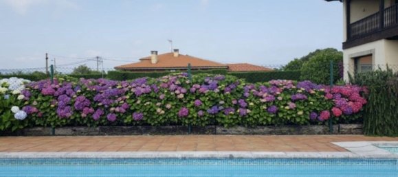 5 غرف نوم منزل في Soto del Barco, Spain رقم 154896 11