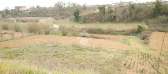 1 chambre Maison à Nepi, Italy No. 316255 5