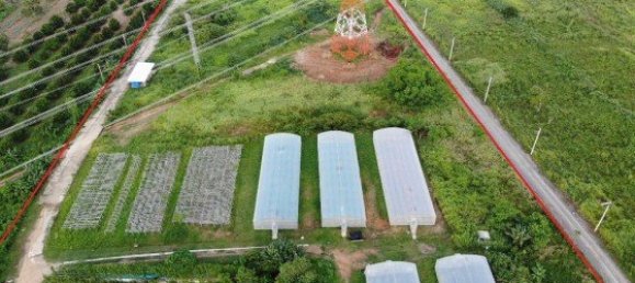 41507m² Commercial property in Mai Khao, Thailand No. 12486 3