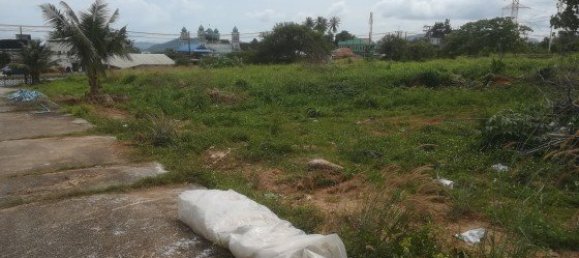 41507m² Commercial property in Mai Khao, Thailand No. 12486 4