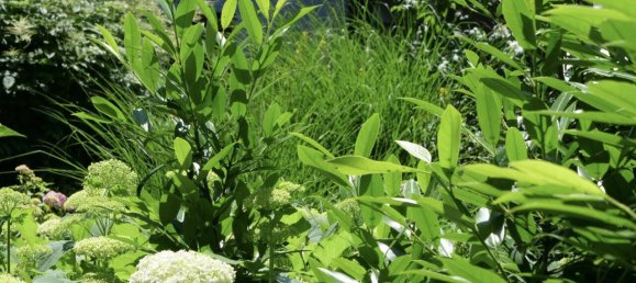 Hôtel à Passau, Germany 900m² No. 160747 31