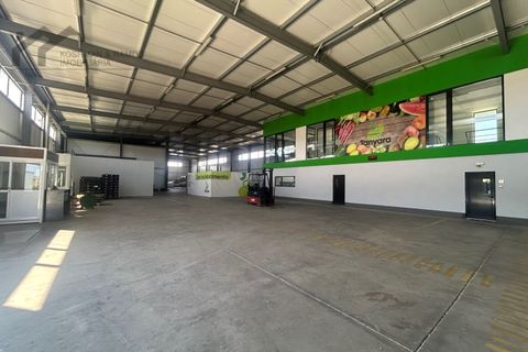 Lagerhaus in Torres Vedras, Portugal 7200m², Nr. 281632