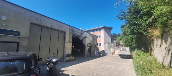 مستودع في Sant'Olcese, Italy 500متر مربع رقم 259154 17