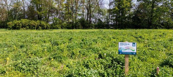 Grundstück in Altheim, Austria, Nr. 36066 2