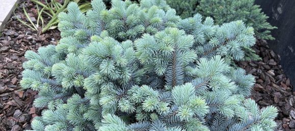 Вилла с 3 спальнями в Gorlitz, Германия № 218382 30