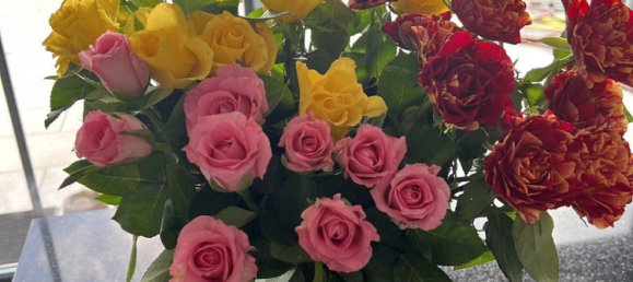 Вилла с 3 спальнями в Gorlitz, Германия № 218382 27