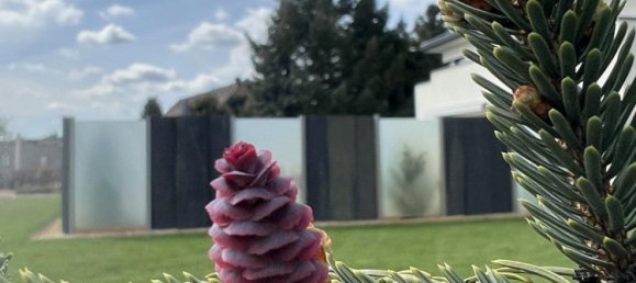 Вилла с 3 спальнями в Gorlitz, Германия № 218382 32