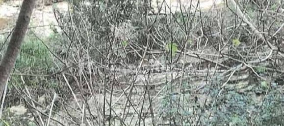 5 rooms House in Noli, Italy No. 292358 8