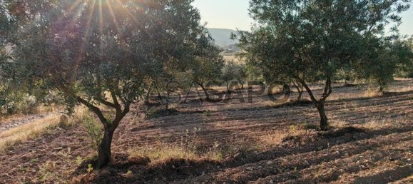 6950m² Land in Passos, Portugal No. 190466 6