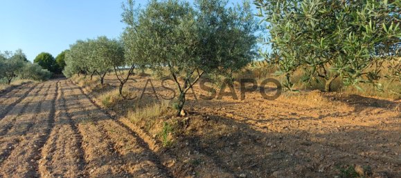 6950m² Land in Passos, Portugal No. 190466 4