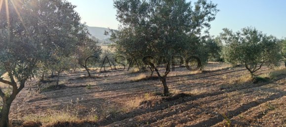 6950m² Land in Passos, Portugal No. 190466 5