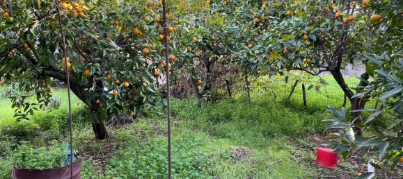 10-salle Maison à Usellus, Italy No. 255494 8