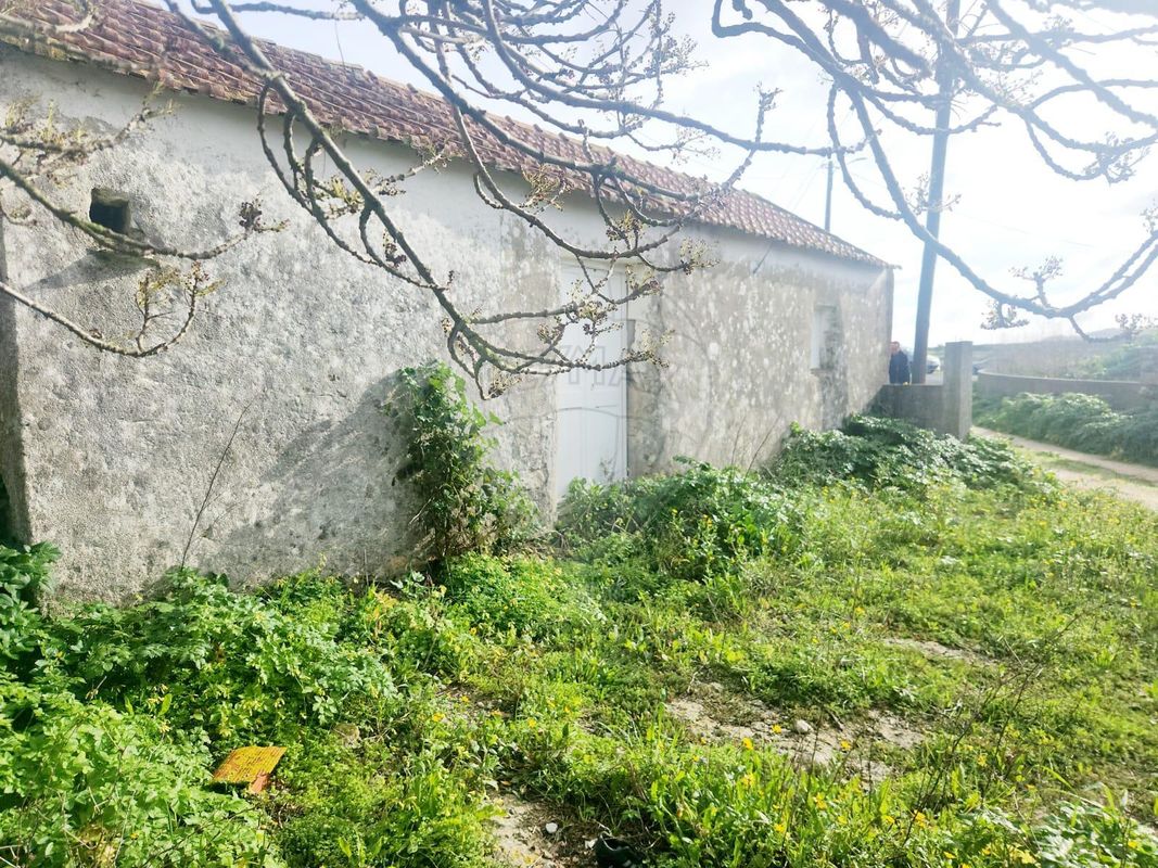 5 chambres Maison à Mafra, Portugal No. 170014