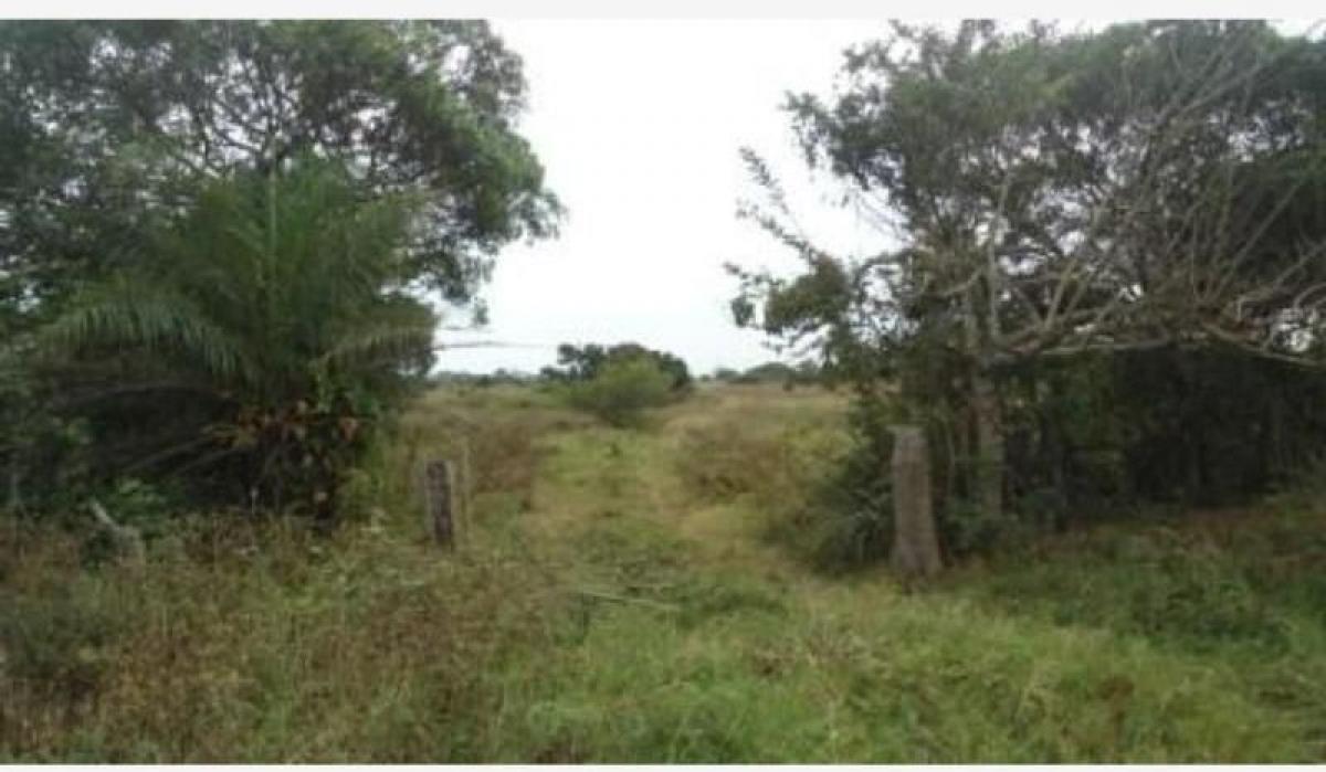 Terreno en Veracruz, Mexico No. 203917