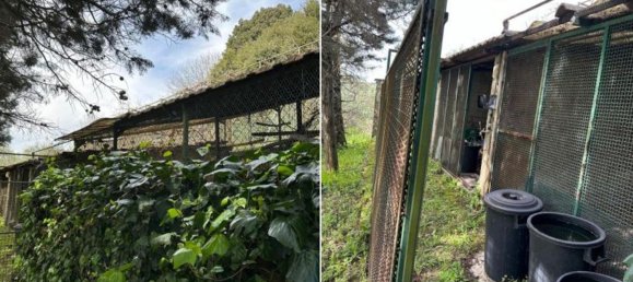 Villa de 12 habitaciónes en Morlupo, Italy No. 184364 3