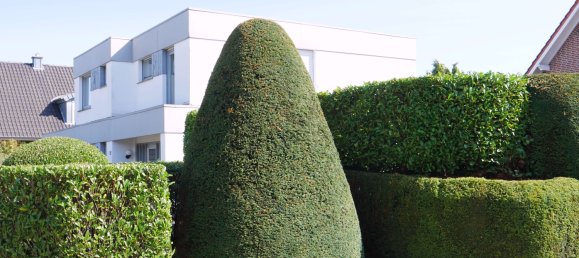 6-Zimmer Haus in Cloppenburg, Germany, Nr. 271318 2