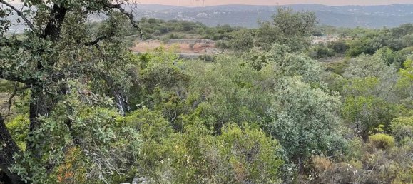 4800m² Land in Loule, Portugal No. 71849 5