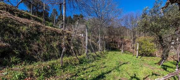 5 chambres Maison à Arnoia, Portugal No. 40300 39