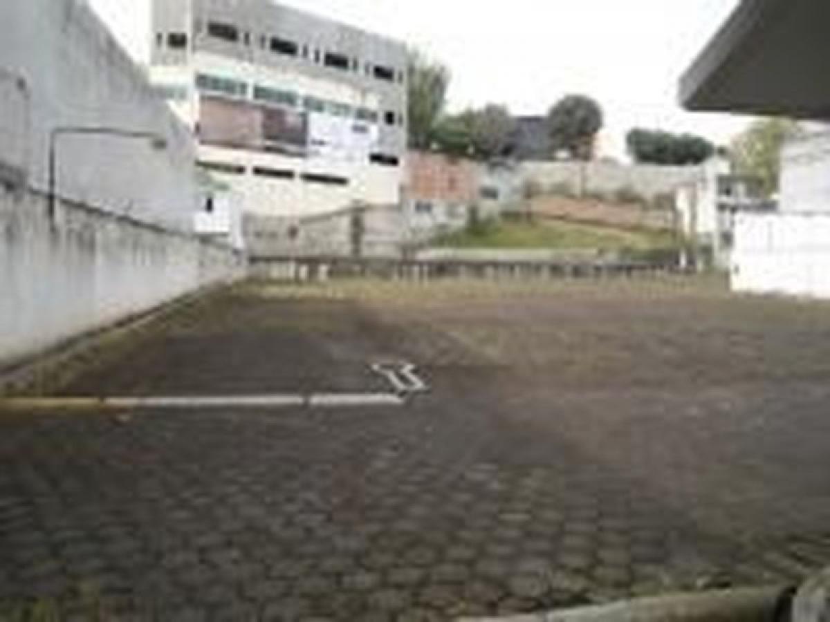  Land in Veracruz, Mexico No. 203758