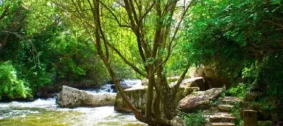 Terrain à Segovia, Spain No. 28653 32