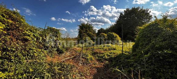 2 Schlafzimmer Wohnung in Legnago, Italy, Nr. 265251 8