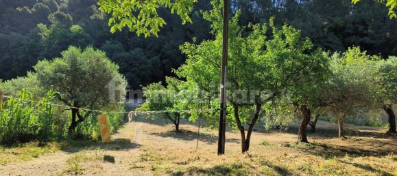  قطعة أرض في Pescara, Italy 2200متر مربع رقم 270003 12