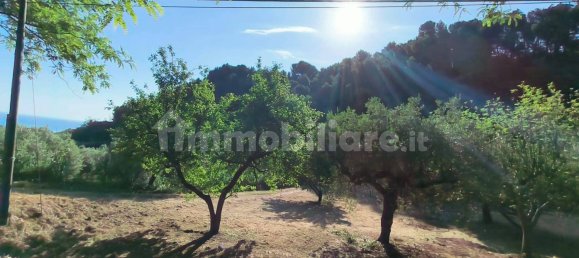  قطعة أرض في Pescara, Italy 2200متر مربع رقم 270003 5