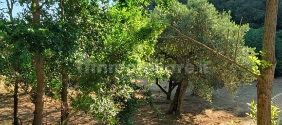  قطعة أرض في Pescara, Italy 2200متر مربع رقم 270003 4