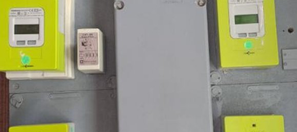 11-Zimmer Villa in La Ferte Mace, France, Nr. 342946 18