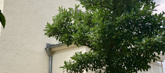 3 غرف نوم تاون هاوس في Markisch-Oderland, Germany رقم 54945 19