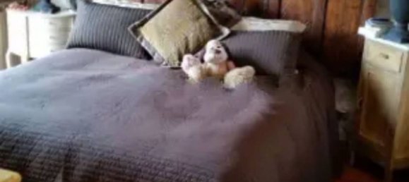 Ático de 5 habitaciónes en Carrara, Italy No. 45450 5