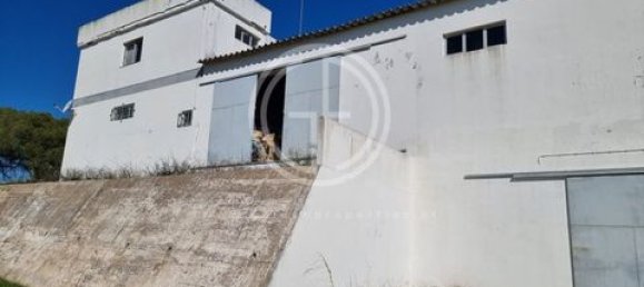 1010m² Warehouse in Almancil, Portugal No. 151037 7