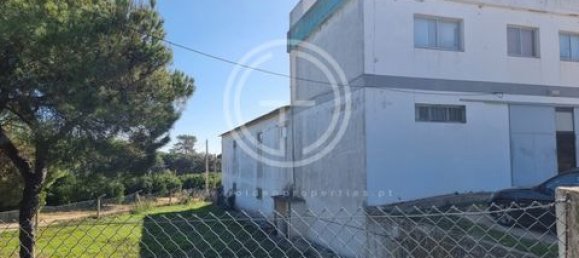 1010m² Warehouse in Almancil, Portugal No. 151037 3