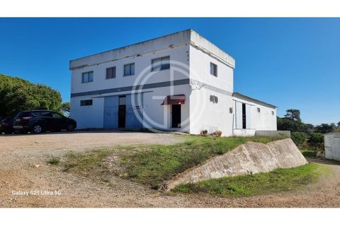 1010m² Warehouse in Almancil, Portugal No. 151037