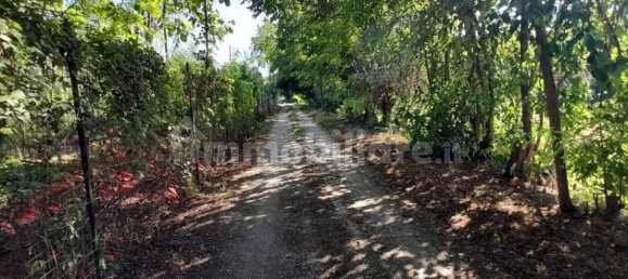 قطعة أرض في Mantua, Italy 2538متر مربع رقم 355701 5