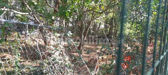 قطعة أرض في Mantua, Italy 2538متر مربع رقم 355701 2