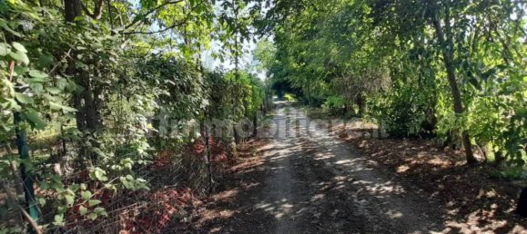 قطعة أرض في Mantua, Italy 2538متر مربع رقم 355701 4