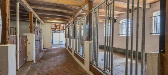 6 bedrooms House in Wittmund, Germany No. 67699 9