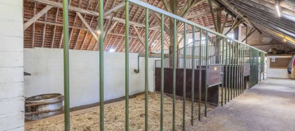 6 bedrooms House in Wittmund, Germany No. 67699 8