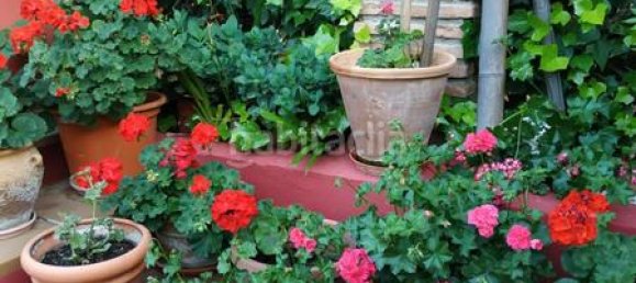 Casa de 6 dormitorios en Granada, Spain No. 168776 41