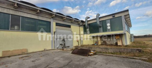 5-Zimmer Lagerhaus in Sernaglia della Battaglia, Italy, Nr. 293536 12