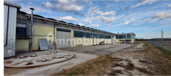 5-Zimmer Lagerhaus in Sernaglia della Battaglia, Italy, Nr. 293536 9