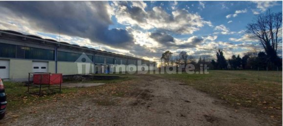 5-Zimmer Lagerhaus in Sernaglia della Battaglia, Italy, Nr. 293536 2