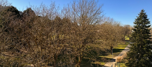 1 bedroom Apartment in Ortenaukreis, Germany No. 17738 17