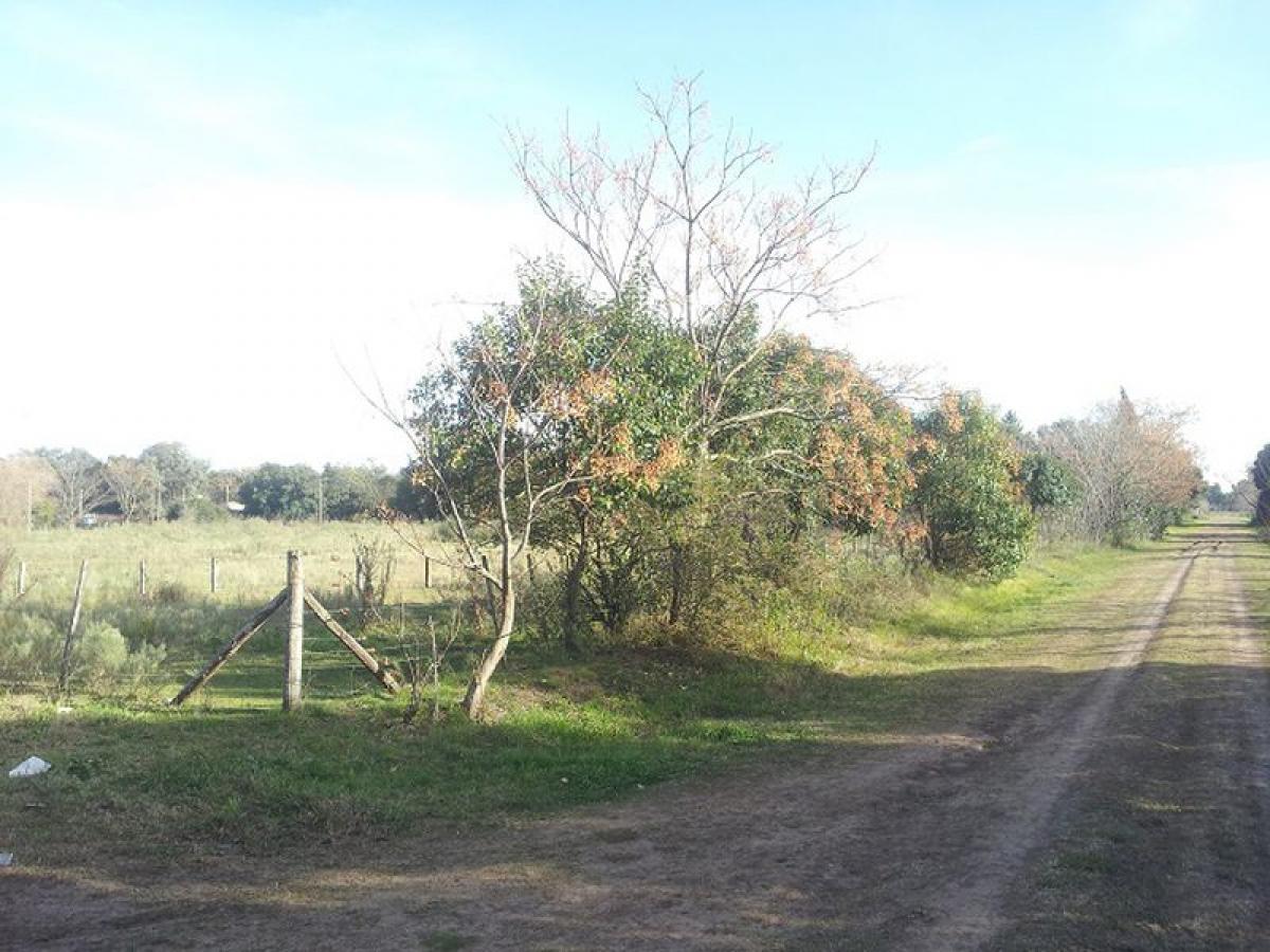  Land in San Antonio de Areco, Argentina No. 37768