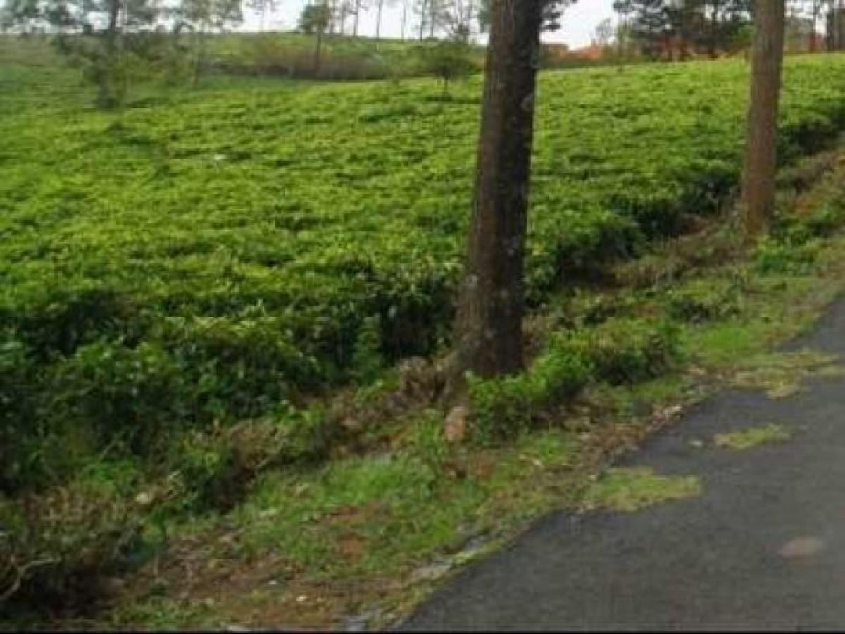  Land in Tamil Nadu, India No. 38234