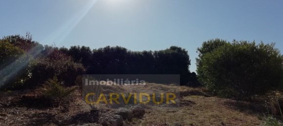 4 Schlafzimmer Haus in Sintra, Portugal, Nr. 163939 8